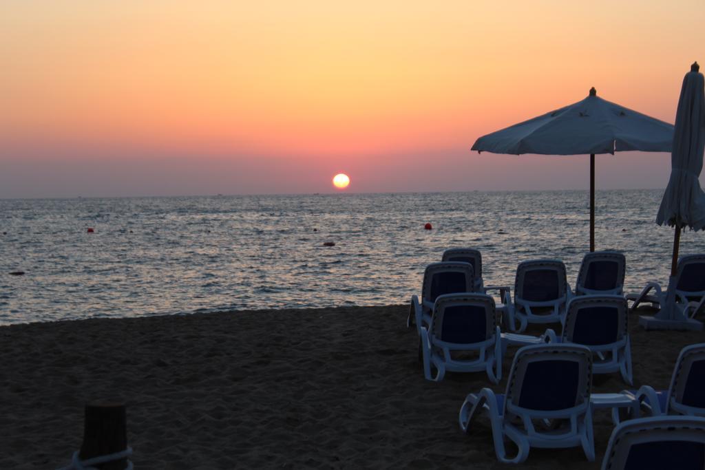 Tolip Hotel Alexandria Exterior foto The beach at the resort